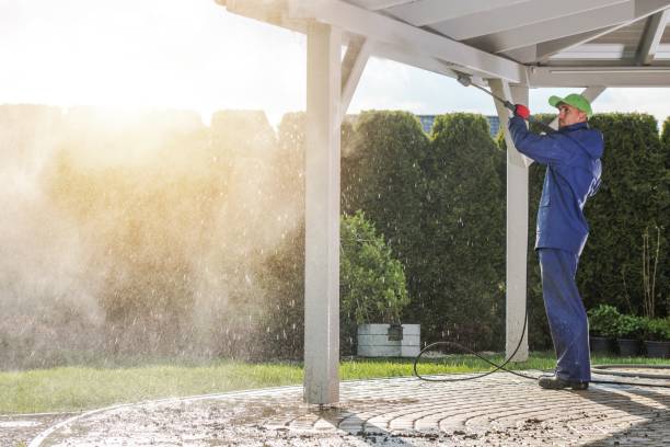 Best Soft Washing  in Bismarck, ND